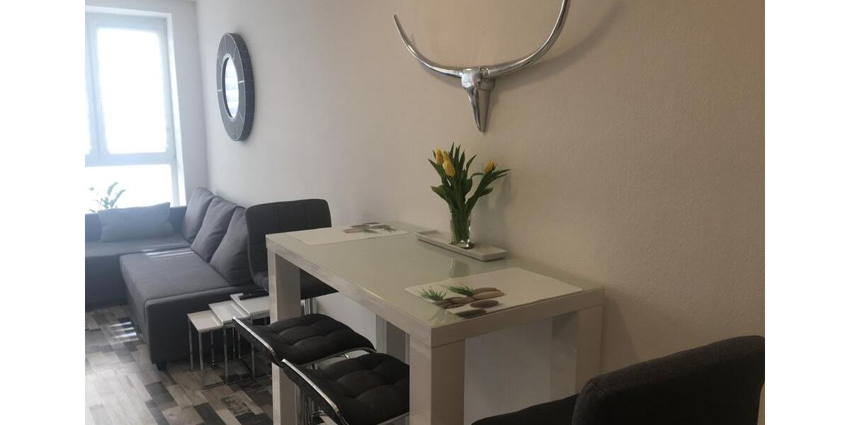 Wohnen auf Zeit Trier - 2.5 Zimmer, 45 m&sup2;, 1.250&euro; | Angebot:26050837