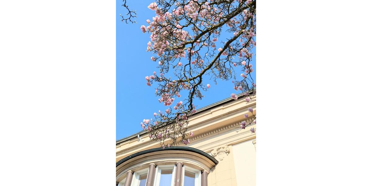 Gewerbeobjekt Herford - 2.520&euro; | Angebot:26022619