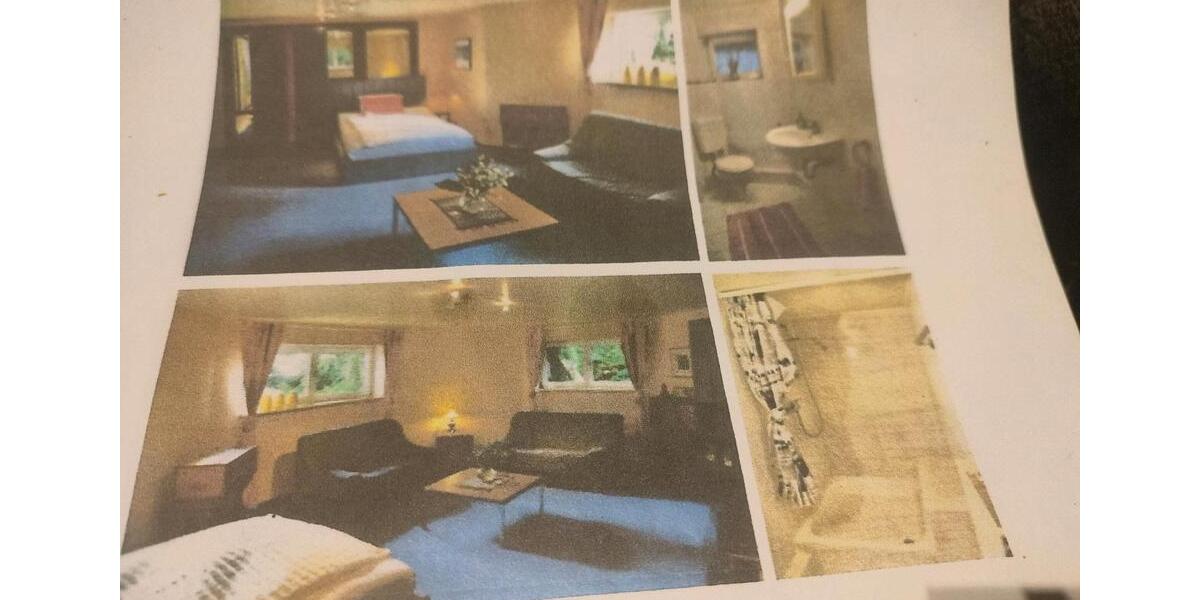 Sonniges, interessant geschnittenes Appartement 1 zimmer