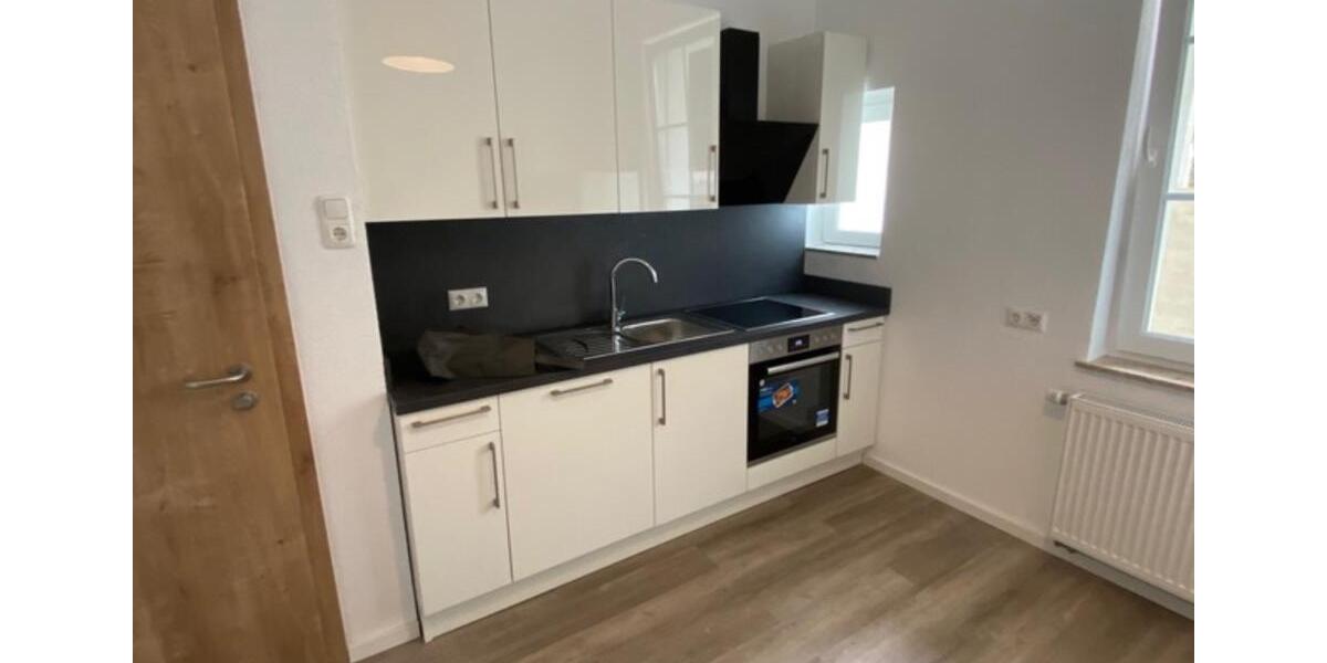 möbliertes 1-Zimmer-Apartment mit eigenem Bad in Mainzer Toplage 1 zimmer