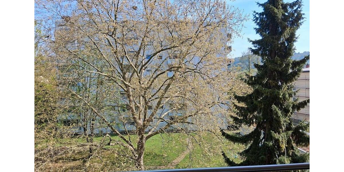 Etagenwohnung Heppenheim (Bergstraße) - 1 Zimmer, 37 m&sup2;, 520&euro; | Angebot:26198789