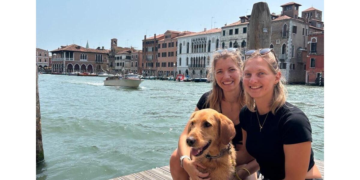 2-3 Zimmerwohnung zur Miete in Heidelberg 2 zimmer