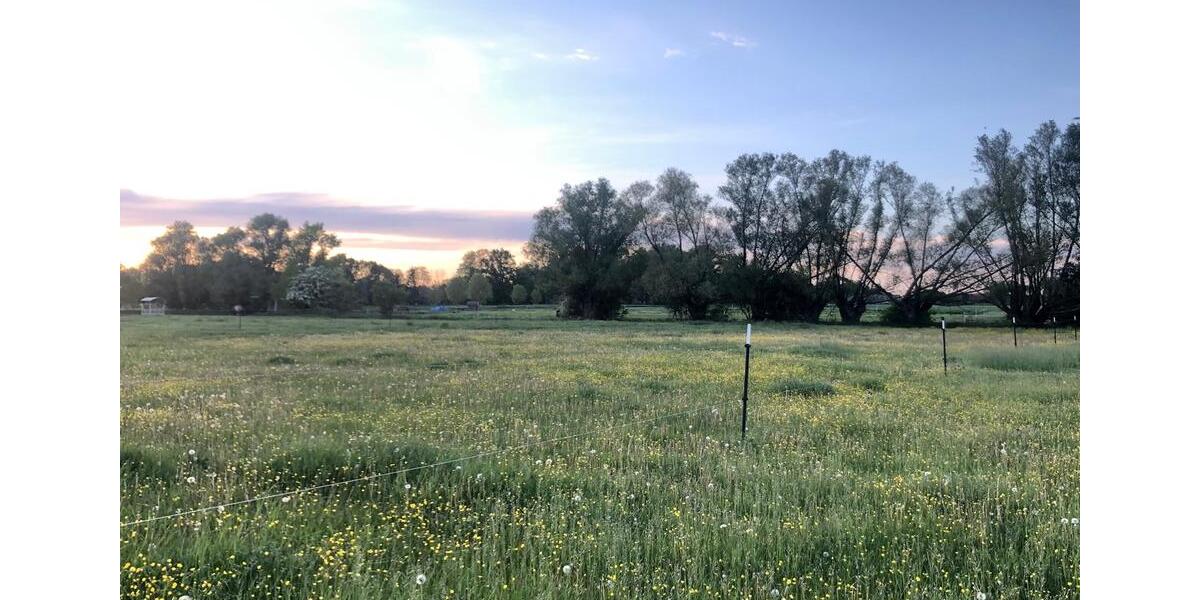 Etagenwohnung Nauen - 1 Zimmer, 38 m&sup2;, 580&euro; | Angebot:24589870