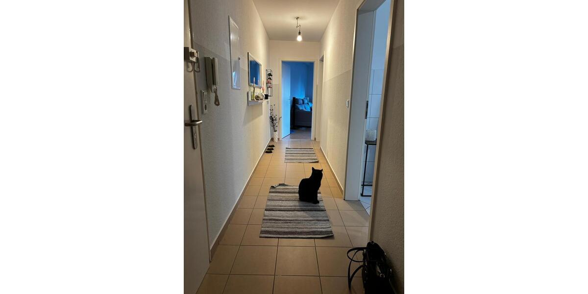 Etagenwohnung Leverkusen - 2 Zimmer, 87 m&sup2;, 800&euro; | Angebot:24796041