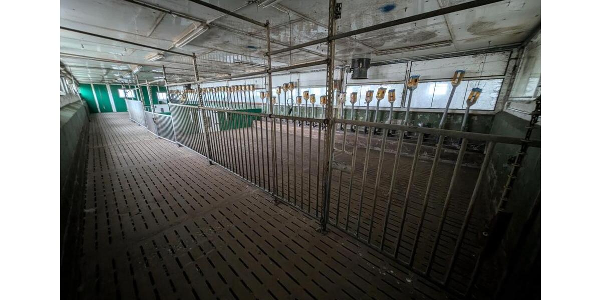 Gewerbeobjekt Jessen (Elster) - 785&euro; | Angebot:24373632