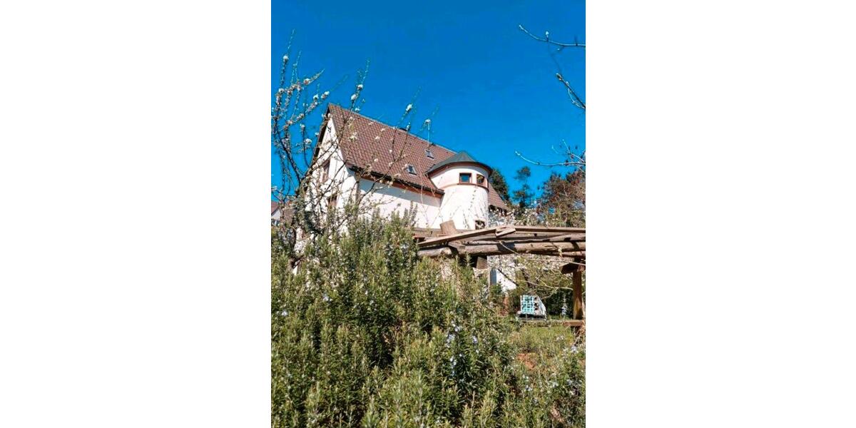 Wohnen auf Zeit Landau in der Pfalz - 1 Zimmer, 10 m&sup2;, 335&euro; | Angebot:26150077