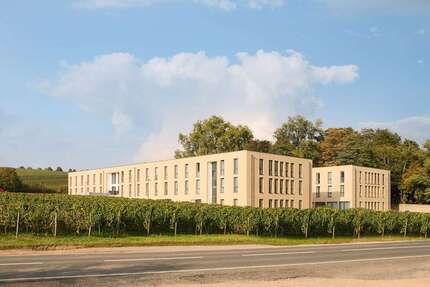 Wohnung Oestrich-Winkel Winkel - 1 Zimmer, 21 m&sup2;, 545&euro; | Angebot:25772512