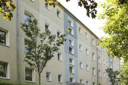 Wohnung Weißenfels - 3 Zimmer, 58 m&sup2;, 377&euro; | Angebot:26901640