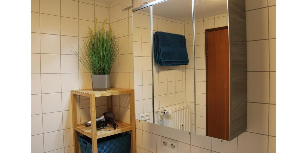 Wohnen auf Zeit Altdorf - 1 Zimmer, 37 m&sup2;, 950&euro; | Angebot:25312058