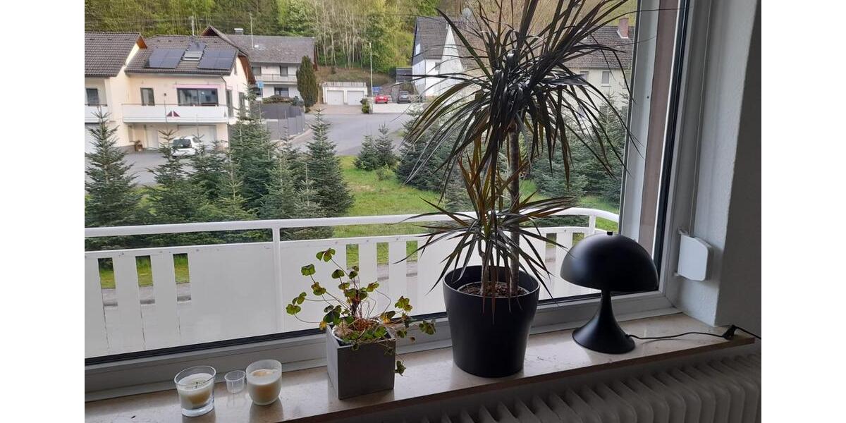 tolle Wohnung in Grevenbrück Förde * 3 Zimmer * 55qm * ab März 3 zimmer