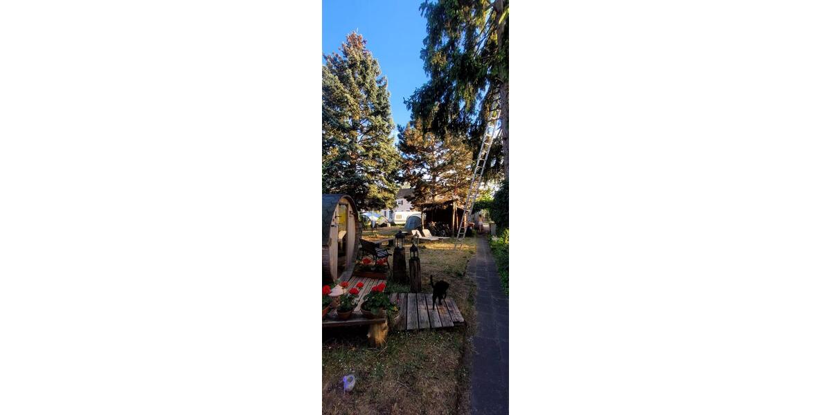 Wohnen auf Zeit Mannheim Gartenstadt - 2 Zimmer, 23 m&sup2;, 600&euro; | Angebot:26395640