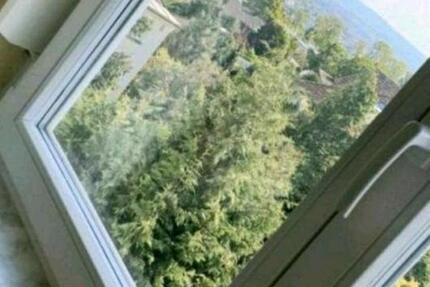 Pf-Nord, 1 Zimmer in Dachgeschoss, Sonnige Aussicht! 1 zimmer