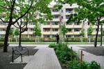 3-Raum-Wohnung mit Balkon sucht Nachmieter