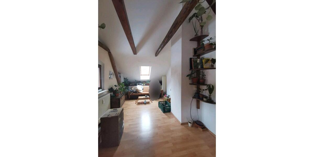 großes helles WG zimmer im Grünen in Tharandt zimmer