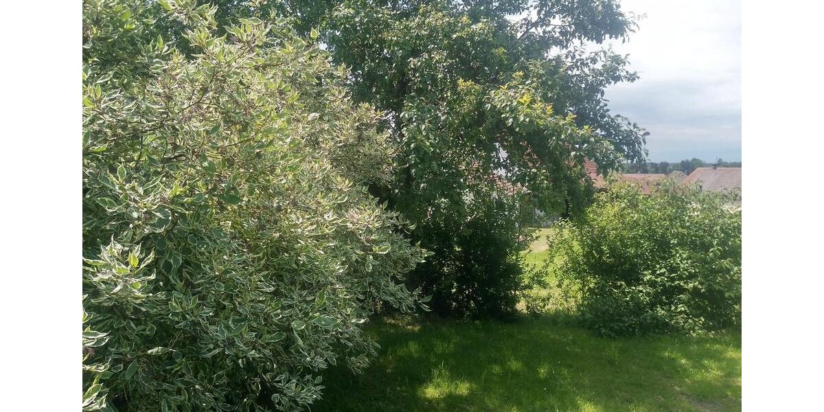 Erdgeschoßwohnung Bad Saulgau - 5 Zimmer, 150 m&sup2;, 1.100&euro; | Angebot:25995018