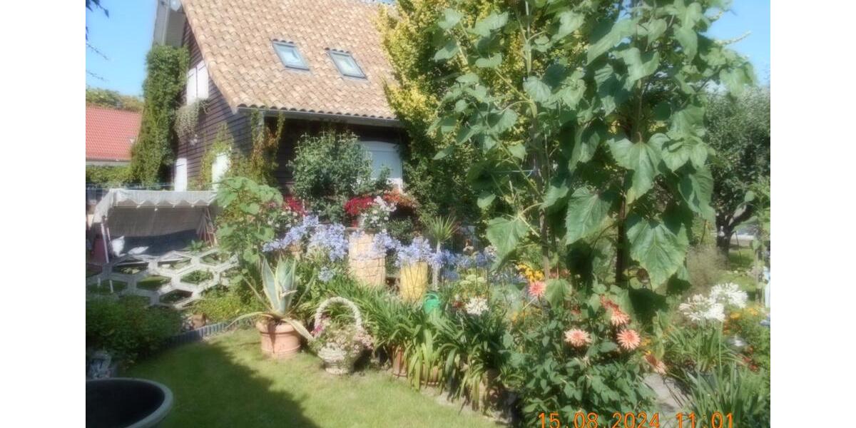 Dachgeschoßwohnung Ballenstedt - 2 Zimmer, 60 m&sup2;, 55&euro; | Angebot:18964502