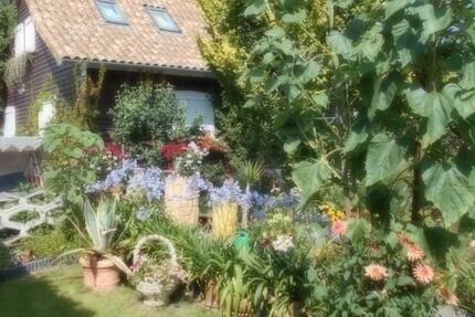 Vermiete wunderschönes ApartmentFewo in Dankerode, im Harz. 2 zimmer