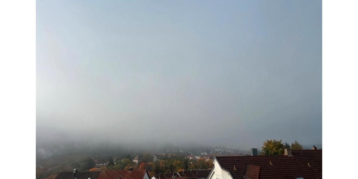 Wohnen auf Zeit Täferrot - 1 Zimmer, 20 m&sup2;, 450&euro; | Angebot:24362854