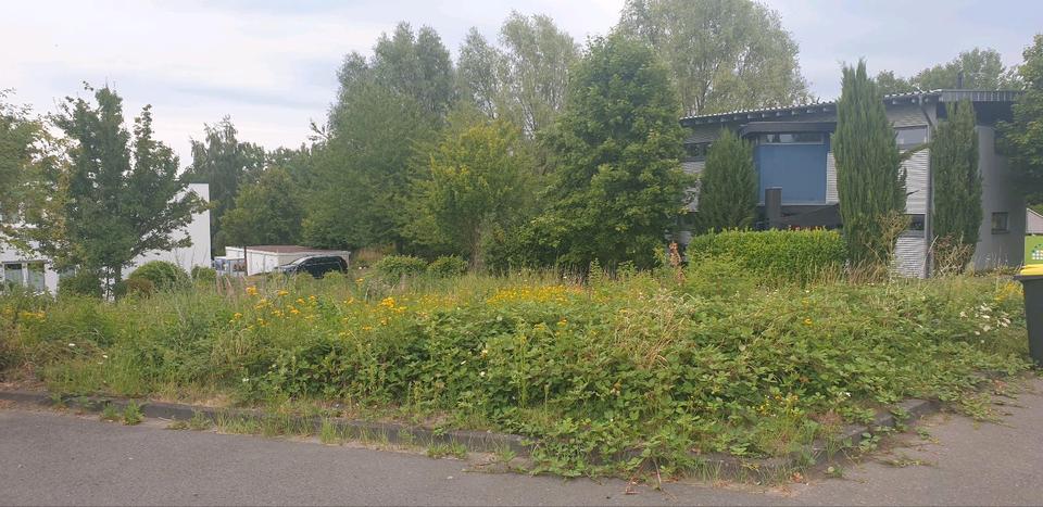 Gewerbeobjekt Bonn Bad Godesberg - 1.500&euro; | Angebot:19751720