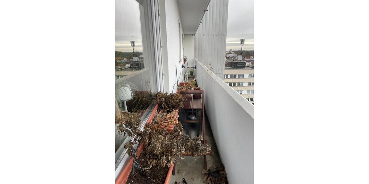 Etagenwohnung Hanau Kesselstadt - 2 Zimmer, 40 m&sup2;, 900&euro; | Angebot:24527669