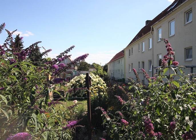 Etagenwohnung Oschersleben - 2 Zimmer, 43 m&sup2;, 258&euro; | Angebot:26807249