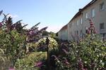 Etagenwohnung Oschersleben - 2 Zimmer, 43 m&sup2;, 258&euro; | Angebot:26807249