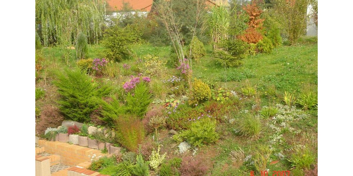 Etagenwohnung Bennewitz - 2 Zimmer, 38 m&sup2;, 430&euro; | Angebot:25769084