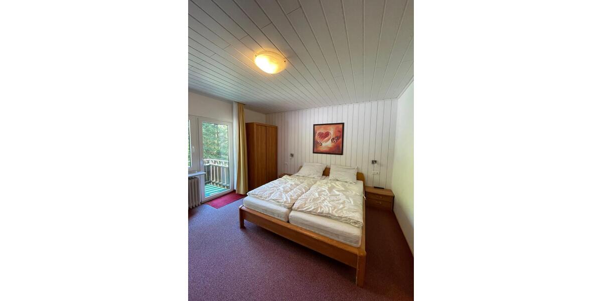 Wohnen auf Zeit Willingen (Upland) - 1 Zimmer, 20 m&sup2;, 450&euro; | Angebot:24625046
