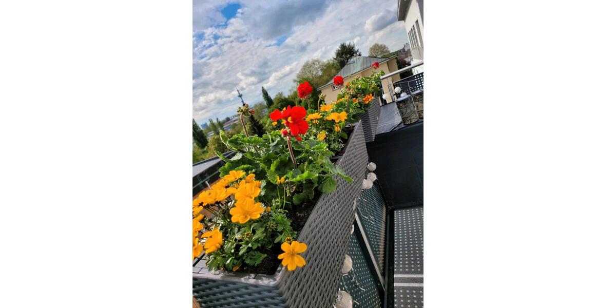 Einfamilienhaus Frankfurt am Main Nord-West - 3 Zimmer, 75 m&sup2;, 2.350&euro; | Angebot:25378034