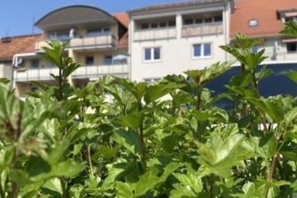 Attraktive und großzügige 4-Raum-Maisonette-Wohnung mit Balkon auf der Töpferstraße in Bautzen zu vermieten. 4 zimmer