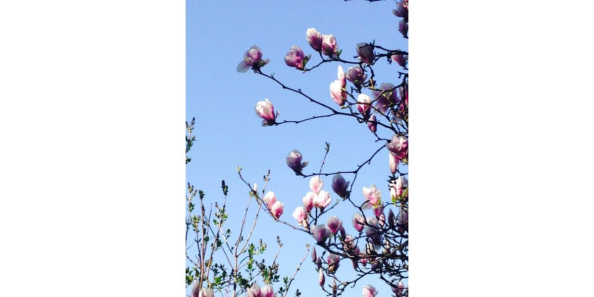 Einfamilienhaus Oberbergkirchen - 5 Zimmer, 180 m&sup2;, 1.500&euro; | Angebot:24355679