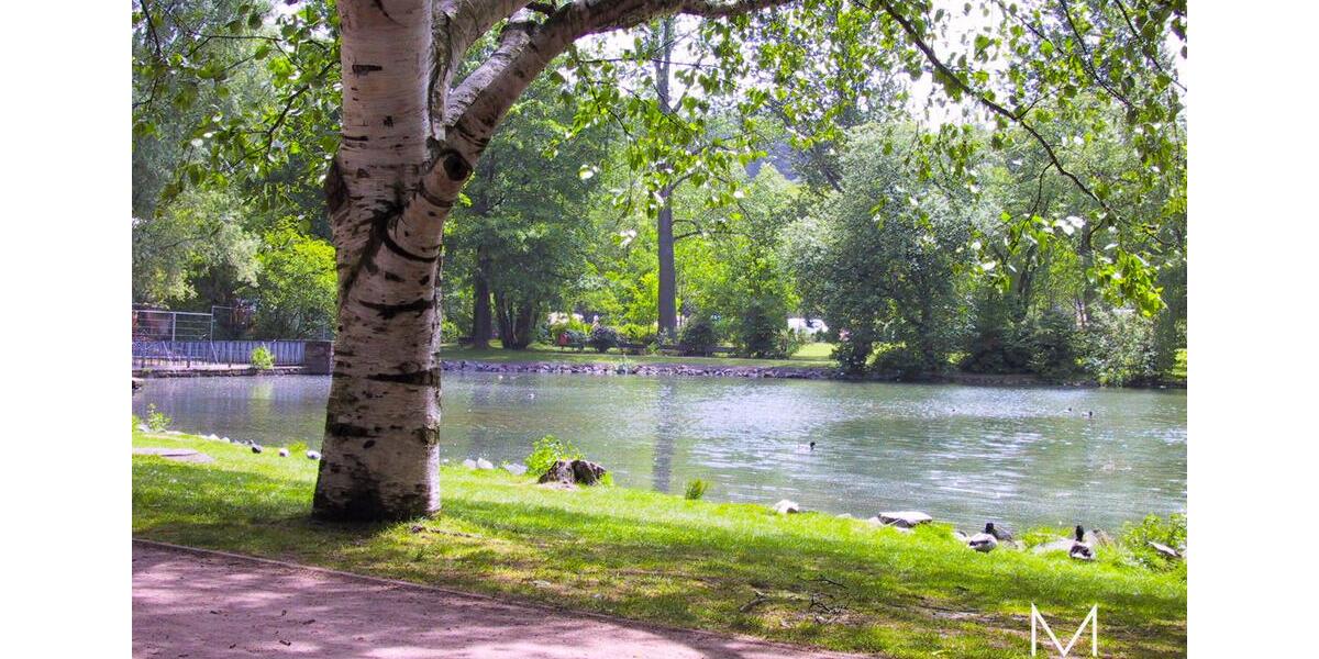 Erdgeschoßwohnung Kaiserslautern - 2 Zimmer, 62 m&sup2;, 900&euro; | Angebot:24600414