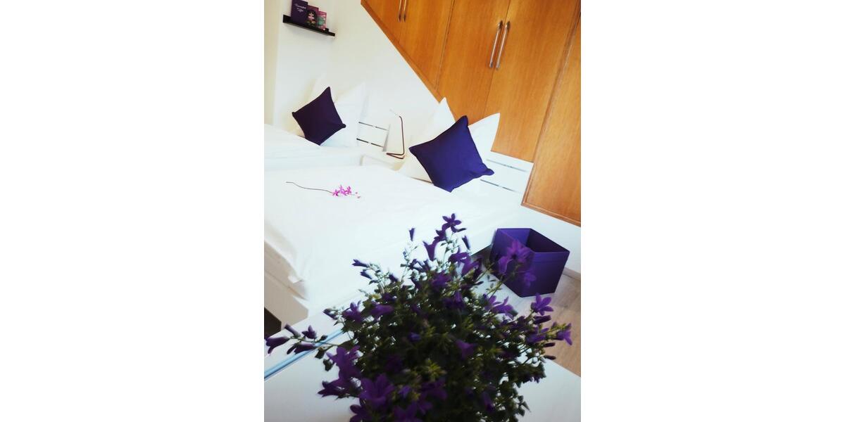 Wohnen auf Zeit Mühlhausen - 9 Zimmer, 200 m&sup2;, 35&euro; | Angebot:11489703