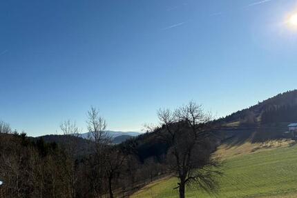 Wohnung neu möbeliert zu vermieten 1 zimmer