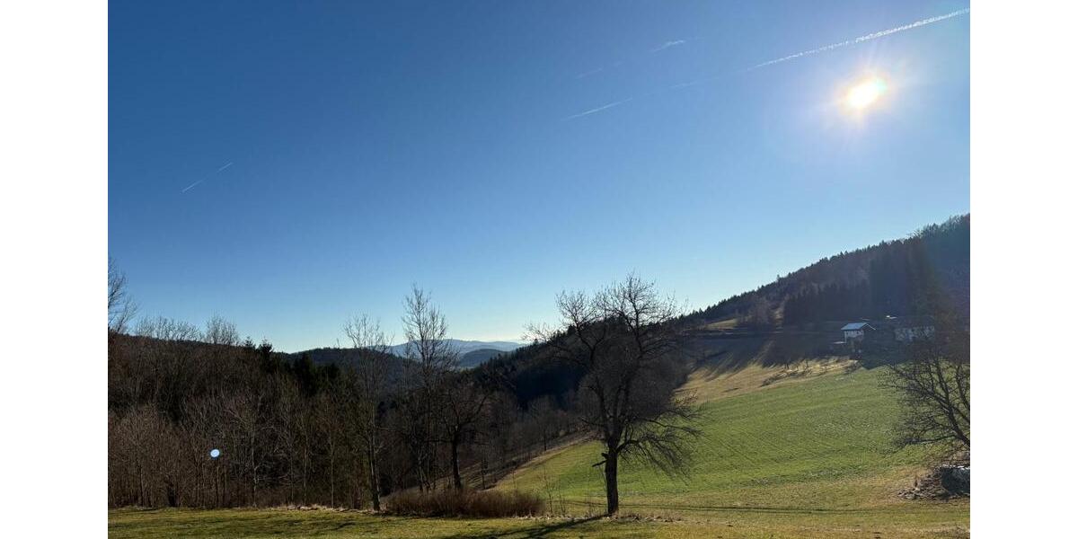 Wohnung neu möbeliert zu vermieten 1 zimmer