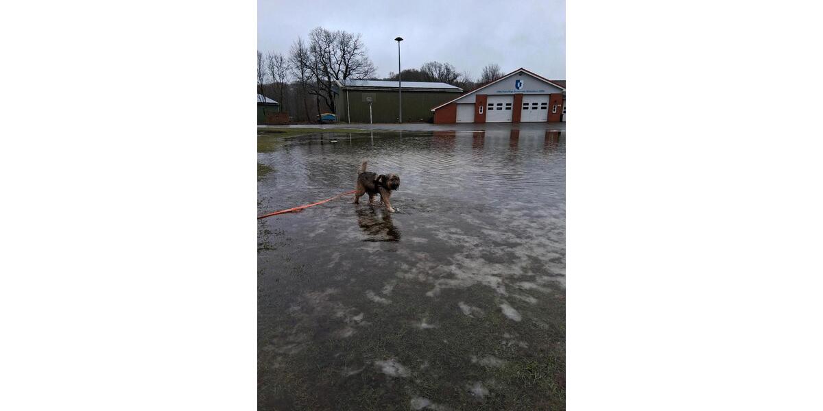 Wohnen auf Zeit Wittenborn - 10 Zimmer, 1.400 m&sup2;, 132.465&euro; | Angebot:25408722