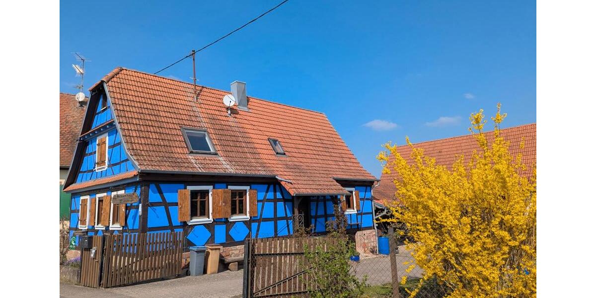 Wohnen auf Zeit Wörth am Rhein - 1 Zimmer, 18 m&sup2;, 45&euro; | Angebot:26417730
