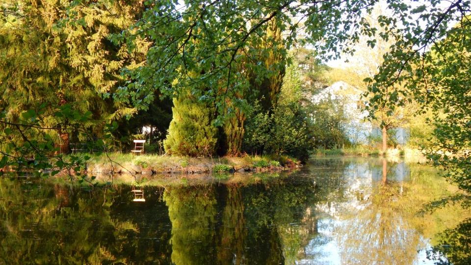 Etagenwohnung Mayen - 1 Zimmer, 10 m&sup2;, 315&euro; | Angebot:24756396