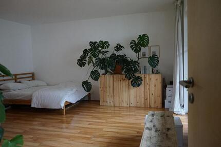 1 Zimmerwohnung Apartment zimmer