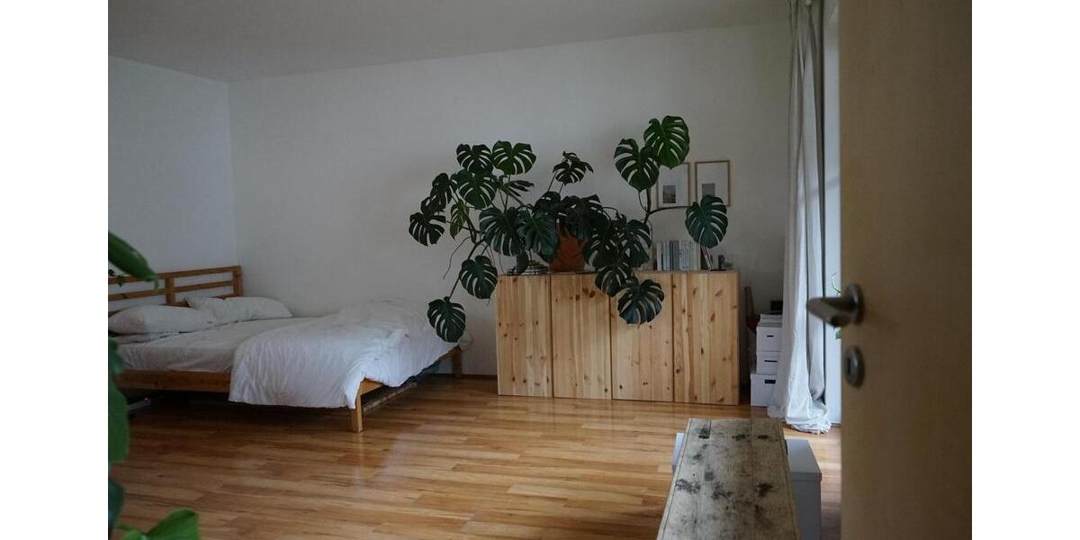1 Zimmerwohnung Apartment zimmer
