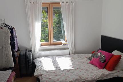 1 Dezember - 31 January 1 zimmer