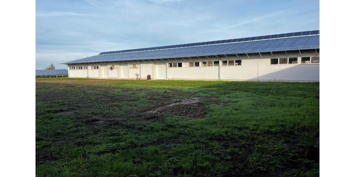 Gewerbeobjekt Beilrode - 195&euro; | Angebot:21573819