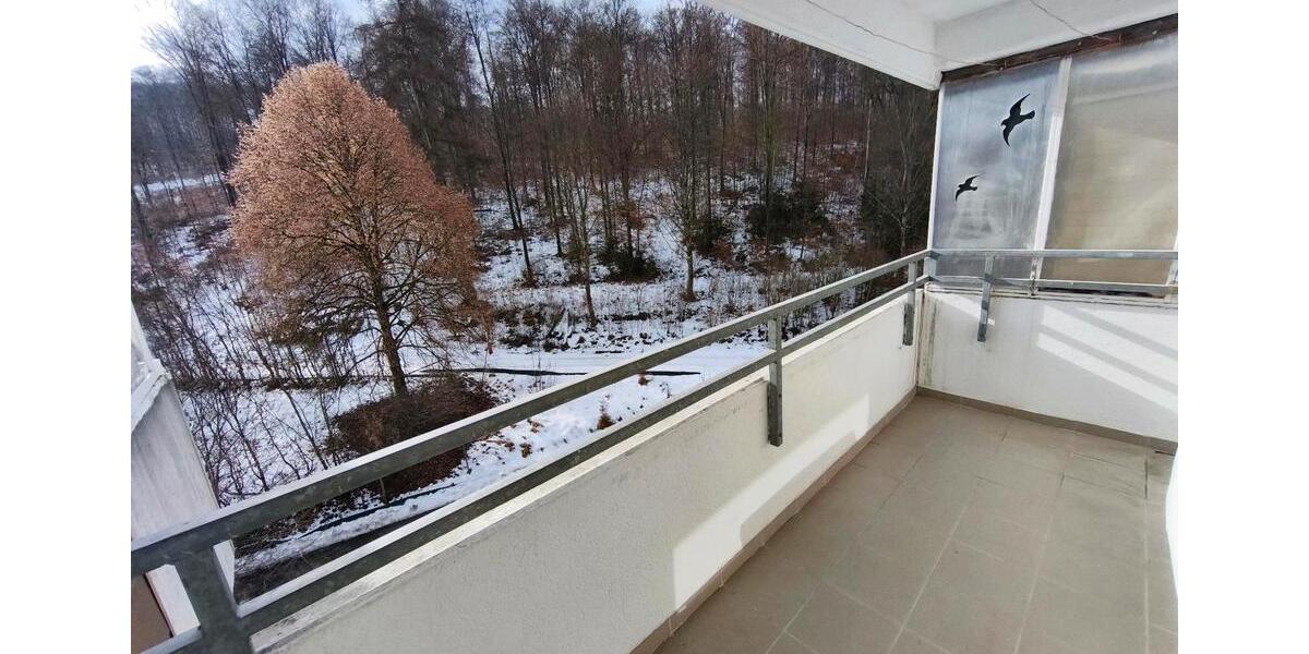 Etagenwohnung Megesheim - 2 Zimmer, 65 m&sup2;, 700&euro; | Angebot:25239545