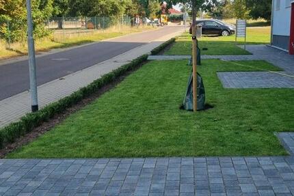 Wohnung Hohe Börde - 2 Zimmer, 45 m&sup2;, 410&euro; | Angebot:25934505