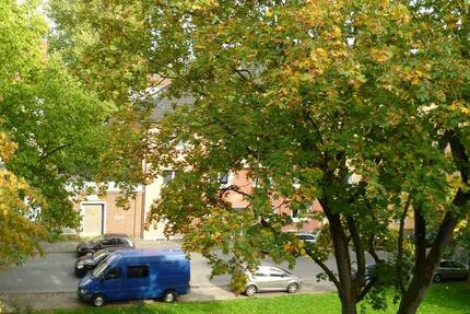 Wohnung Essen Stadtbezirk IV - 2 Zimmer, 36 m&sup2;, 360&euro; | Angebot:26690667