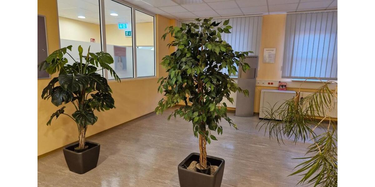 Gewerbeobjekt Templin - 2.463&euro; | Angebot:24984113