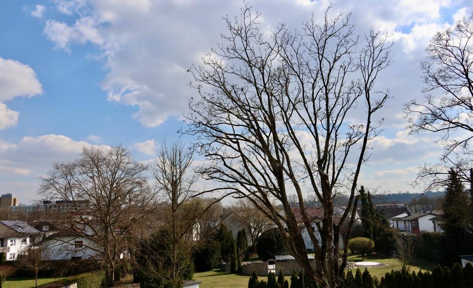 Einfamilienhaus Landshut Landshut-West - 3.5 Zimmer, 132 m&sup2;, 1.980&euro; | Angebot:25807277