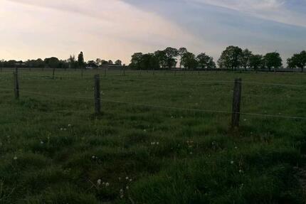 Wohnung Kempen - 3 Zimmer, 110 m&sup2;, 1.200&euro; | Angebot:25195594