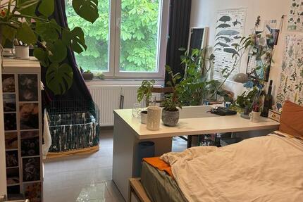 Wohnen auf Zeit Osnabrück - 1 Zimmer, 12 m&sup2;, 380&euro; | Angebot:26603199