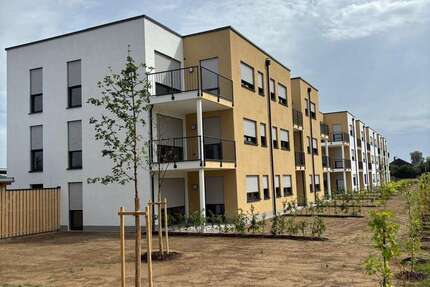 Wohnung zum Mieten in Roßbach 820 € 84 m² 3 zimmer